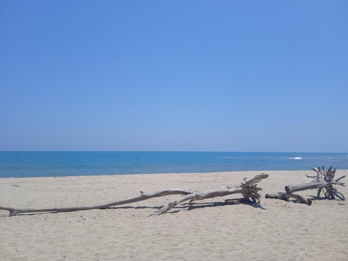 Bob Marley Beach Guachaca Luaran gambar